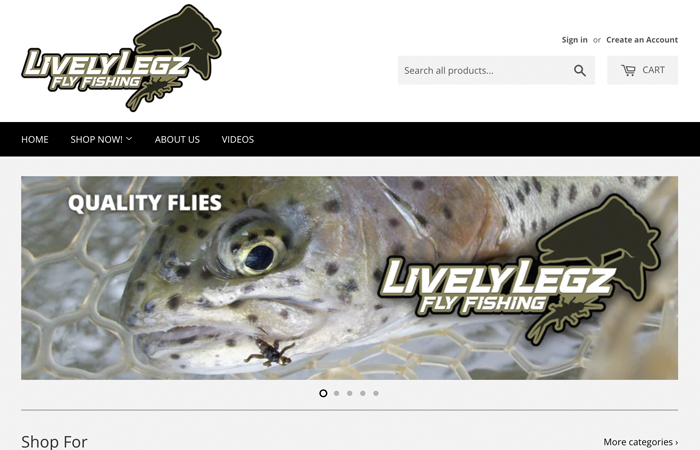 Screen shot of the Lively Legz website